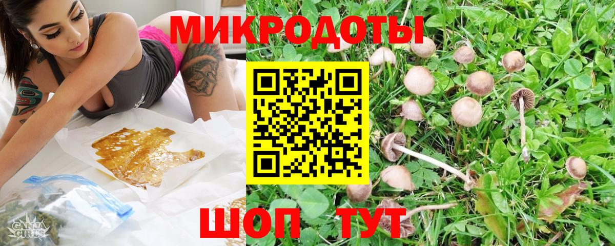 Стрежевой  Псилоцибиновые грибы MAGIC MUSHROOMS  Галлюциногенные грибы прущие грибы  Вход с VPN 